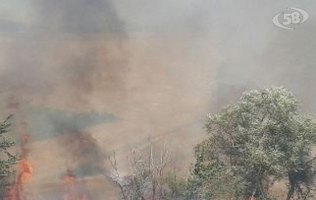 A fuoco la pineta di Greci: Vigili del Fuoco a lavoro/FOTO